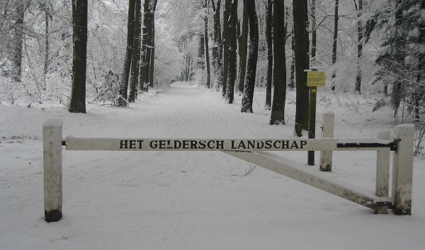 Gelders Landschap sneeuw